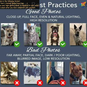 Pet Portrait Ornament Using Pets Photo and Name Personalized Dog 2