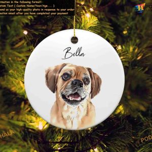 Pet Portrait Ornament Using Pets Photo and Name Personalized Dog 3