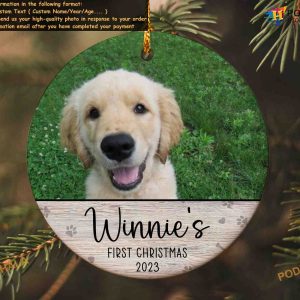 Puppy's First Christmas Custom Dog Picture, Personalized Keepsake