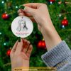 Science Christmas Ornament, Friends Christmas Ornaments