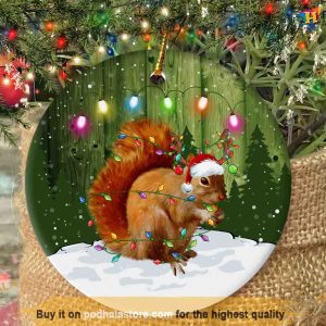 Squirrel Vacation Christmas Ornament, Friends Christmas Ornaments