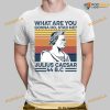 What Are You Gonna Do Stab Me Julius Caesar 44 Bc Shirt, Hoodie