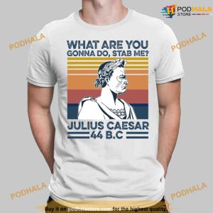 What Are You Gonna Do Stab Me Julius Caesar 44 Bc Shirt, Hoodie