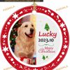 2023 Pets Keepsake Ceramic Ornament, Personalized Hanging Pet Photo Decoration
