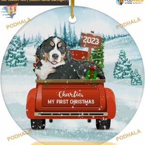 Bernese Puppy Dog First Christmas 2023 Personalized Family Ornaments