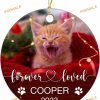 Cat Owner 2023 Forever Loved Ornament, Custom Photo Memorial, Personalized Remembrance
