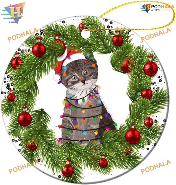 Cat with Lamp Bulb Ornament, Funny Christmas Tree Decor, 2023 Family Keepsake