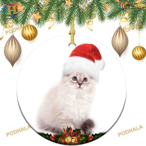 Cute White Cat 2023 Ornament, Personalized Family Christmas Ornaments, Decor