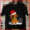 Dachshund Christmas Costume Tee, Family Christmas Shirt Ideas