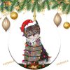 Funny Cat with Lamp Bulb 2023, Family Tree Decoration, Xmas Ornament