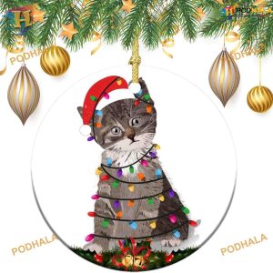 Funny Cat with Lamp Bulb 2023, Family Tree Decoration, Xmas Ornament