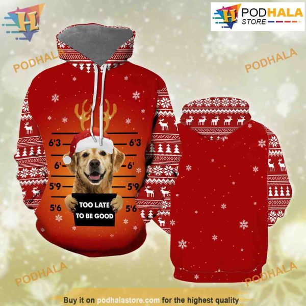Golden Retriever Dog 3D Funny Christmas Hoodie, Xmas Gifts