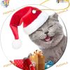 Gray Cat with Red Hat Ornament, Family Christmas Decor, 2023 Funny Keepsake