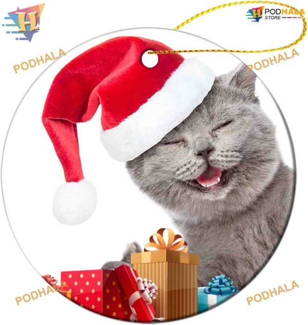 Gray Cat with Red Hat Ornament, Family Christmas Decor, 2023 Funny Keepsake