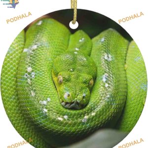 Green Snake Christmas Ornament, 2023 Family Tree Decor, First Xmas Ceramic Round