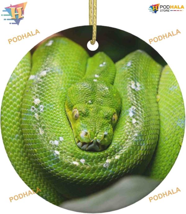 Green Snake Christmas Ornament, 2023 Family Tree Decor, First Xmas Ceramic Round
