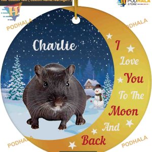 Moon and Back Gerbil 2023 Ornament, Personalized Pet Owner Gift