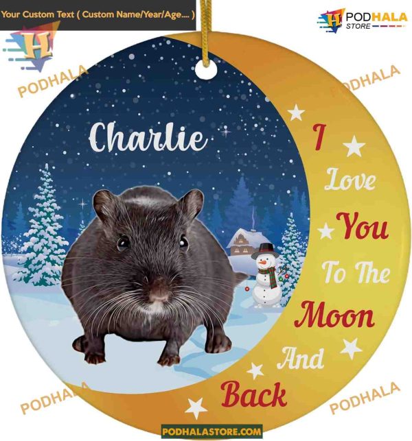 Moon and Back Gerbil 2023 Ornament, Personalized Pet Owner Gift
