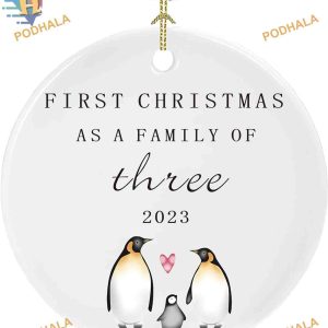 New Baby 2023 Christmas Ornament, First Family Christmas, New Parents Gift
