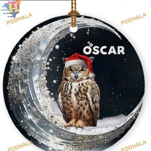 Owl Xmas Tree Hanging Decor Ornament, Personalized Family Christmas Ornaments