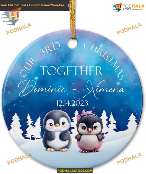 Personalized 3rd Christmas Together Ornament, Couple Penguin, Anniversary Gift 2023