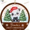 Personalized Panda First Christmas Announcement Ornament 2023, Newborn Gift