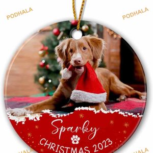 Pet Photo Christmas 2023 Customized Cat Dog Ceramic Ornament, Personalized Picture Decor