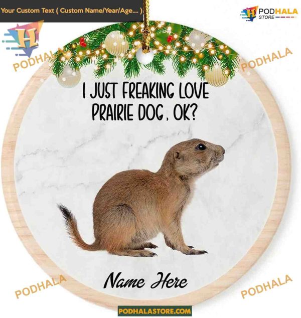 Prairie Dog Christmas Funny Gifts Ornament, Personalized Family Ornament, Holiday 2023