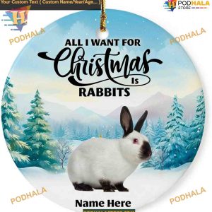 Rabbit Personalized 2023 Ornament, Custom Christmas Tree Decoration, Animal Lover Gift
