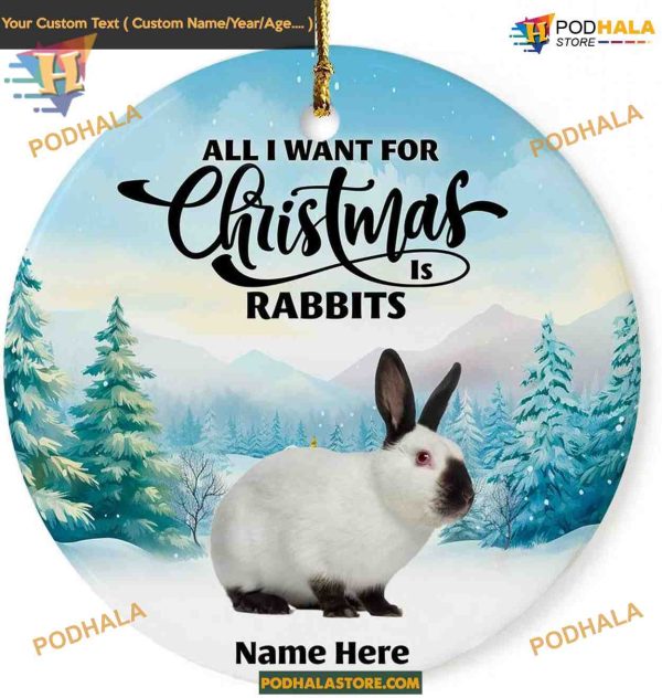 Rabbit Personalized 2023 Ornament, Custom Christmas Tree Decoration, Animal Lover Gift