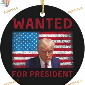 Trump 2024 Mug Shot Ornament, Funny Christmas Ornaments 2023