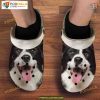 Border Collie Croc Dog Crocs Shoes with Cute Border Collie Face