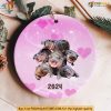 Moo Deng Ornament, Adorable Baby Hippo 2024 Christmas Decoration Gift