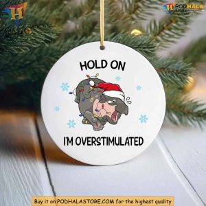 Moo Deng Ornament Funny Hippo Christmas Decor Hold On Im Overstimulated 3