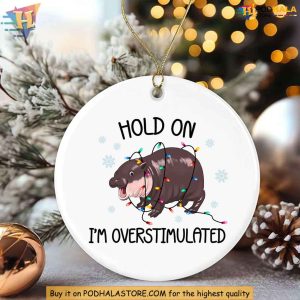 Moo Deng Ornament, Hold On I'm Overstimulated Hippo, Funny Christmas Animal